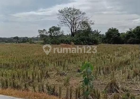 Tanah, SHM, di Cariu