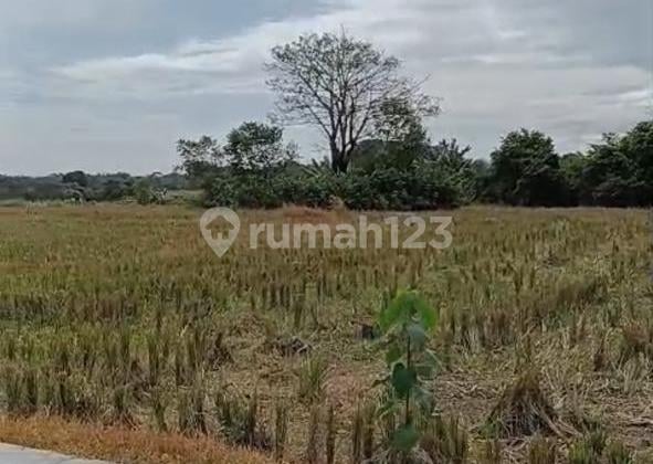 Tanah, SHM, di Cariu