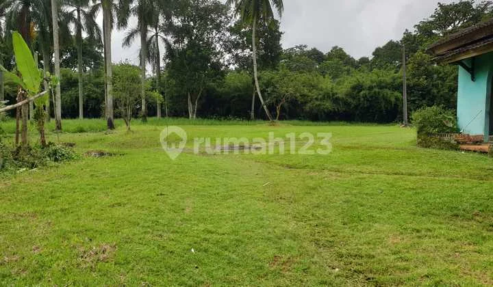 Jual Cepat Lahan Pinggir Jalan Raya Sukaraja Pasir Muncang Caringin Bogor Jabar