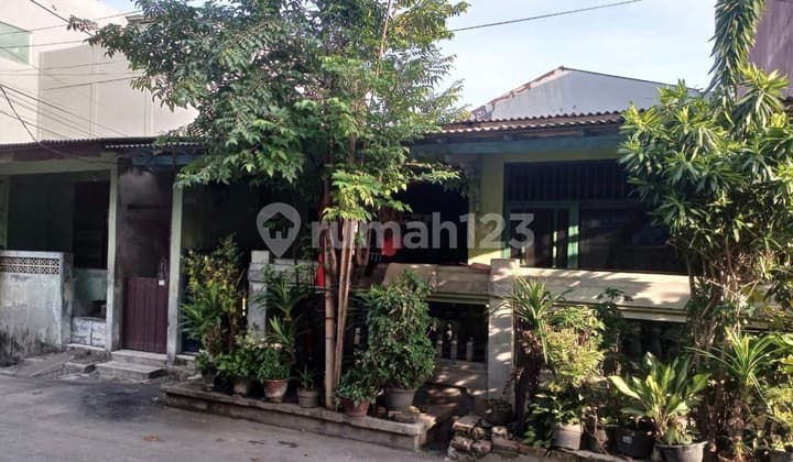 Dijual Rumah Standart di Sunter Agung.