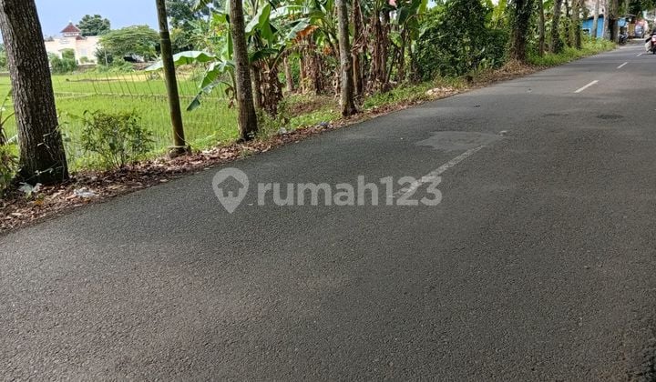 Tanah Sunan Kalijaga Cocok Perumahan, Gudang