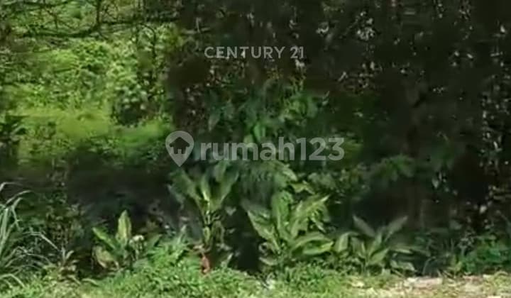 Tanah Pinggir Jalan Dekat Inagro di Cibeuteung Udik Ciseeng Bogor