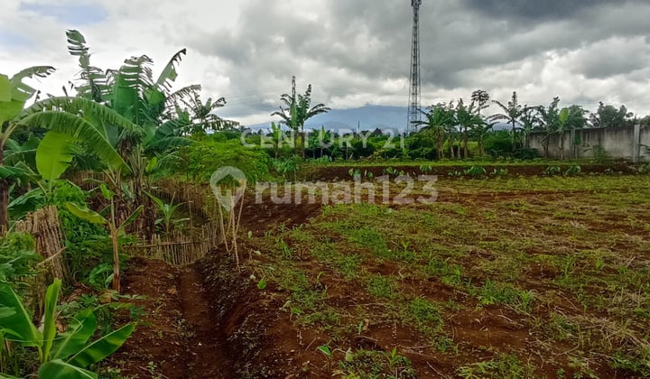 Kavling View Gunung di Kamp Tajur Desa Pasir Muncang Sukabumi