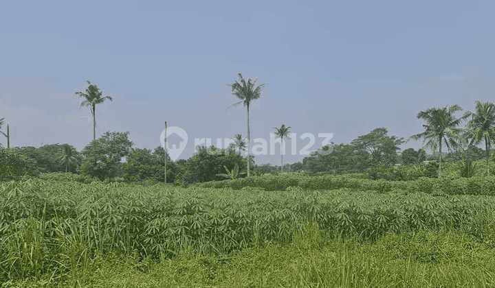 Turun Harga Tanah Subur untuk Perumahan Ds Mekar Sari Ranca Bungur Bogor