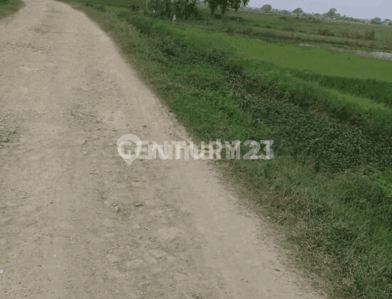 Tanah Kp Poncol Muara Gembong Pantai Harapan Jaya