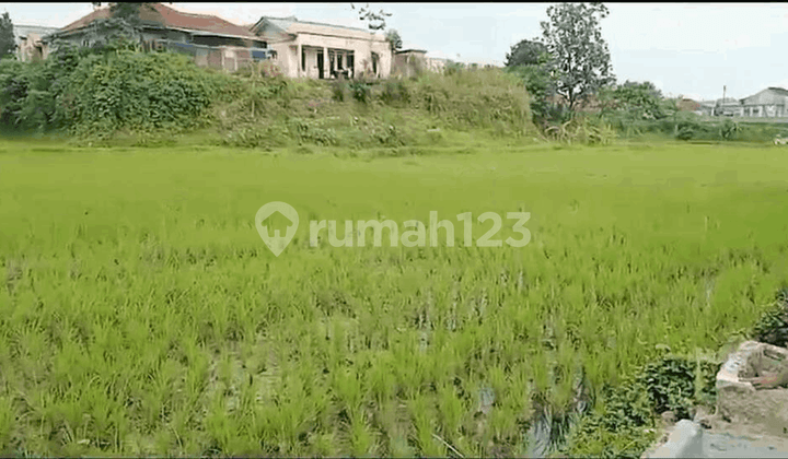 Tanah Sawah Ciwalen Simpang Taman Bunga Nusantara