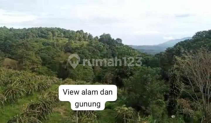 Kavling Dekat Wisata Taman dan Kota Bunga Kebun Naga Cipanas