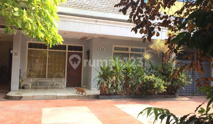 Rumah Tua Luas Bebas Banjir di Jl Salemba Jakarta Pusat