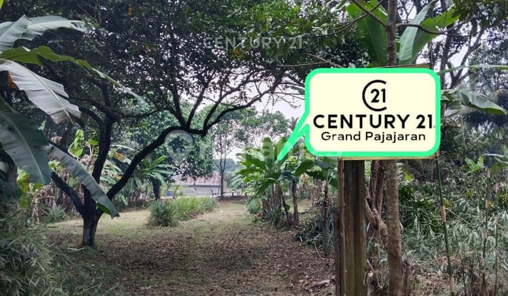 Tanah Dekat Jalan Utama di Kp Babakan Palasari Cijeruk Bogor