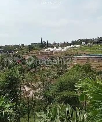 Tanah Luas Ada Mata Air di Jl Alternatif Cigombong Kab Bogor