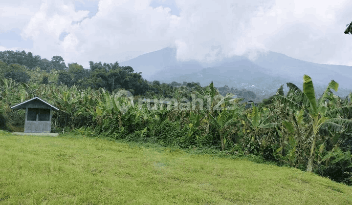 Tanah Ds Tugujaya Kec Cigombong Cijeruk