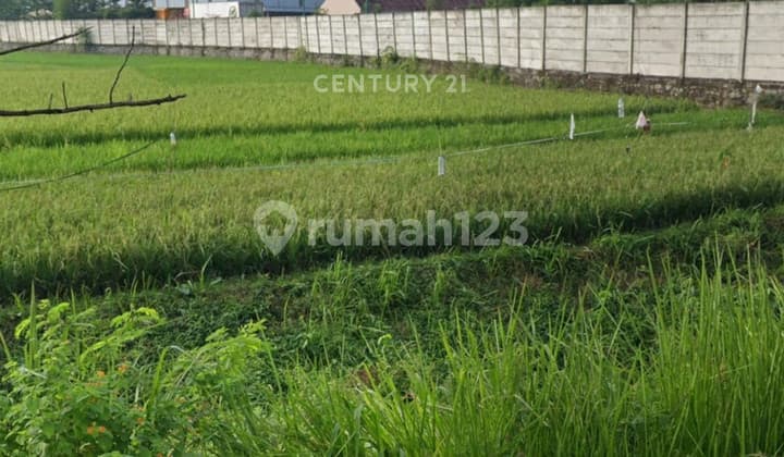 Kavling Area Industri di Weninggalih Jonggol Kabupaten Bogor