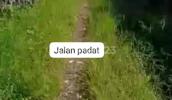 Tanah Dekat Taman Safari Pusat Kuliner Cisarua Bogor