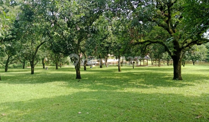 Tanah Luas Cocok untuk Area Rekreasi di Ds Leuwiseeng Majalengka