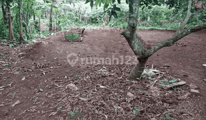 Tanah Daerah Perumahan di Situsari Cileungsi Kab Bogor