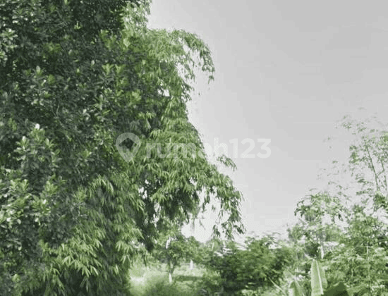 Turun Harga Dijual Cepat Ds Mekarsari Ranca Bungur Bogor