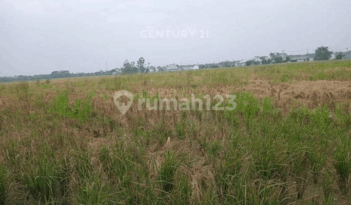 Tanah Jl Raya Cikarang Pilar Sukatani Cikarang Utara