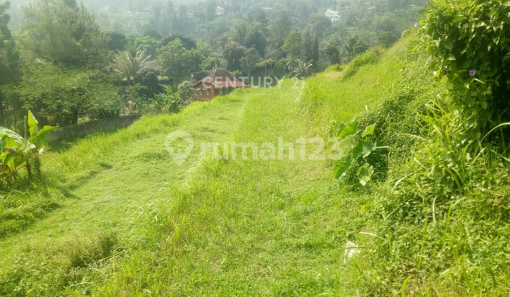 Kavling Sawah View Gunung Pangrango di Kampung Ciesek Megamendung