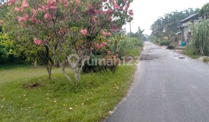 Kavling Kec. Sei Suka Ds Pematang, Sumatra Utara