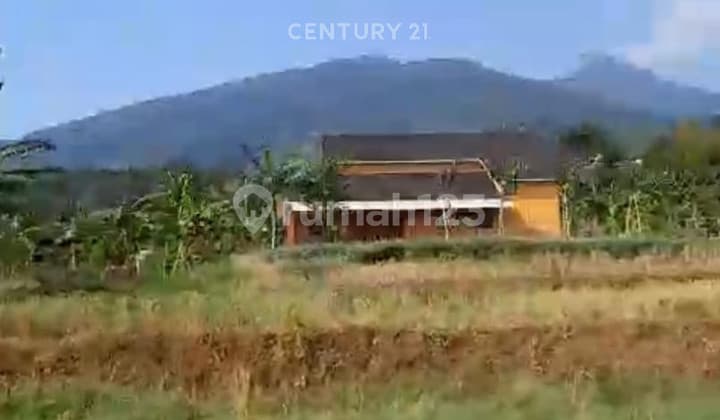 Lahan Strategis Cocok untuk Kebun View Gunung di Cijeruk Bogor