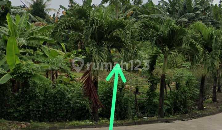 Kavling Jl Raya Gn Putri 1,8 KM Dari Pintu Tol Gn Putri