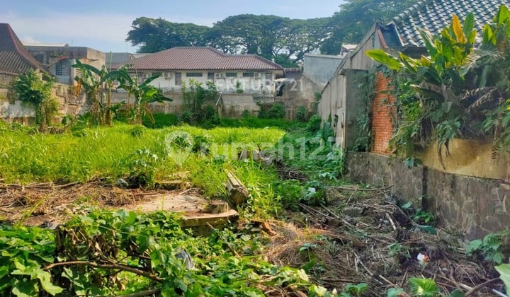 Kavling Jl Taman Malabar Babakan Bogor