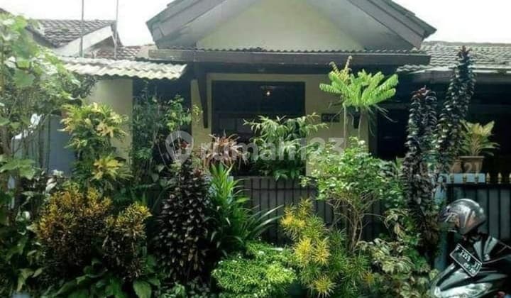 Rumah Siap Huni Di Ciomas Permai Bogor Dekat Terminal Laladon