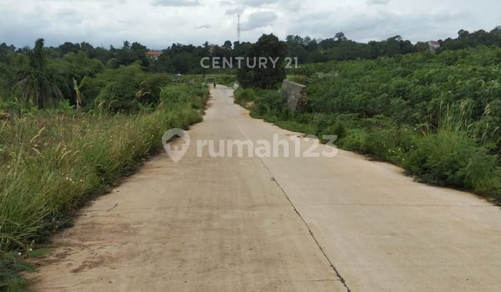 Kavling Strategis Area Pabrik Di Ds Sukahati Citeureup Kab Bogor