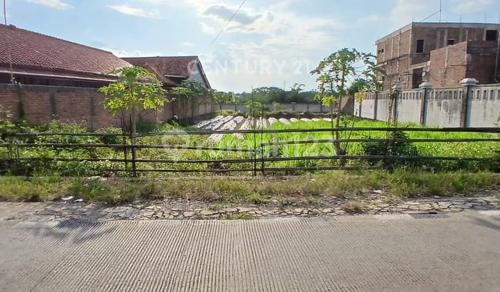 Tanah Strategis Murah Di Jl Raya Dramaga Sinar Sari Bogor