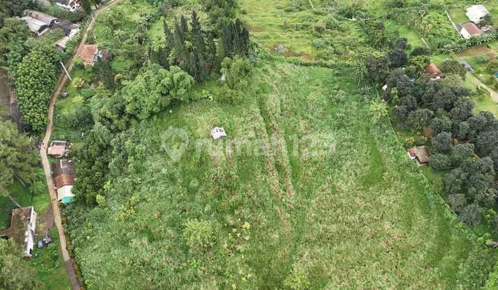 Kavling Cantik Murah di Ds Sukajadi Kec Tamansari Ciapus
