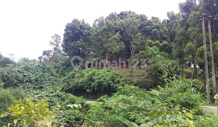 Tanah Murah SHM Di Leuwiliang Bogor Cocok Untuk Perumahan Subsidi