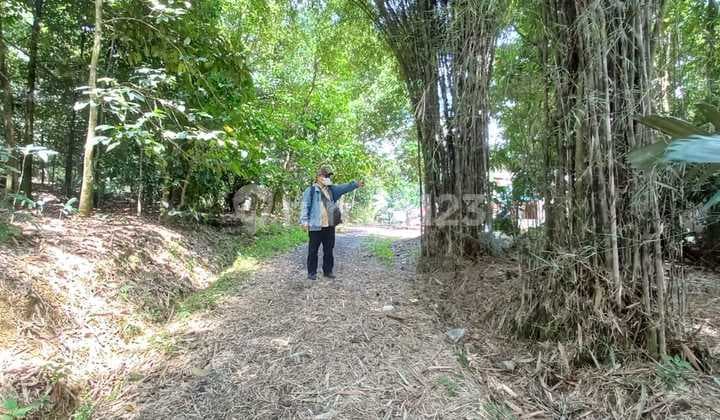 Tanah Shm Dekat Kantor Kecamatan Leuwiliang Bogor Cocok Untuk Rumah Subsidi Dan Perumahan
