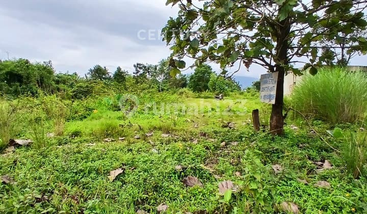 Tanah SHM Dekat Kampus Ipb Dramaga Bogor Cocok Bangun Kost-Kostan Mahasiswa