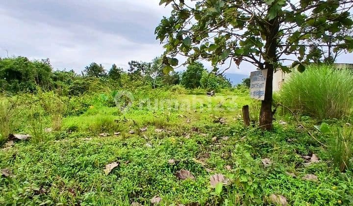 Tanah SHM Siap Bangun di Dramaga Bogor Dekat Kampus Ipb