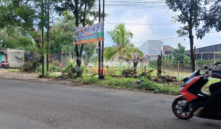 Kavling Dekat Kampus IPB Di Jl Raya CIFOR Bogor