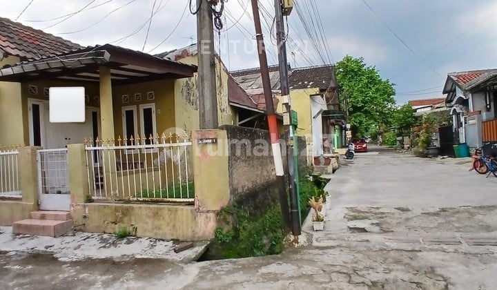 Pagelaran Garden House Hook Ciomas Bogor