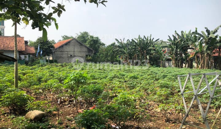 Kavling Strategis Dekat Kampus Di Cifor Situ Gede Bogor