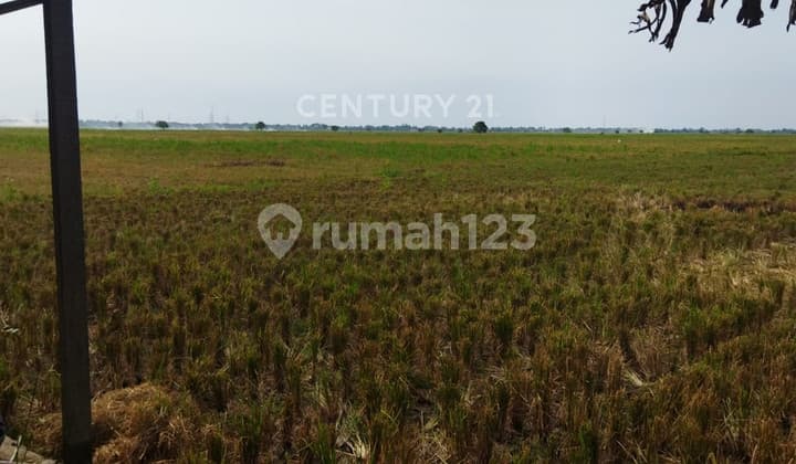 Tanah Strategis Zona Industri & Perumahan Di Sukawang Bekasi Dekat Tol Marunda Cocok Untuk Pabrik, Pergudangan Dan Perumahan