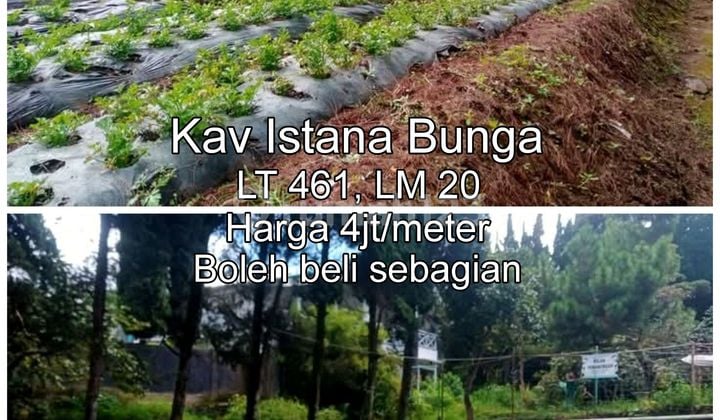Tanah di Parongpong Villa Istana Bunga