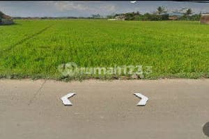 Tanah di Majalaya di Belakang Kahatex Solokan Jeruk bisa Beli Sebagian