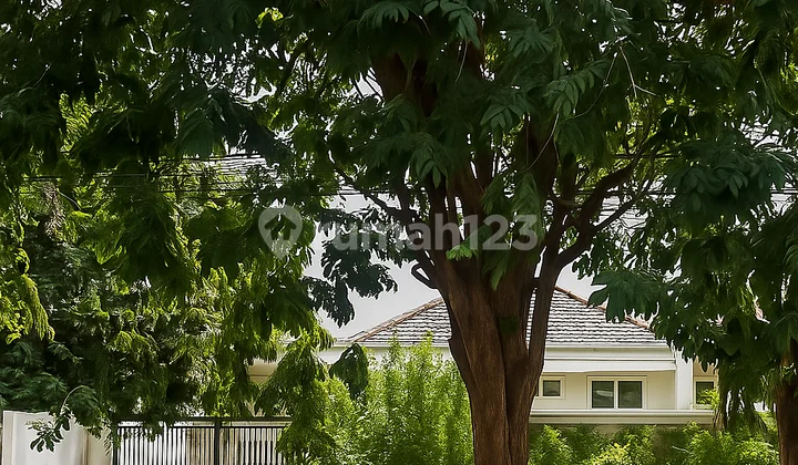 DIJUAL RUMAH RAYA MANYAR REJO SURABAYA TIMUR DIJUAL RUMAH RAYA MANYAR REJO SURABAYA TIMUR