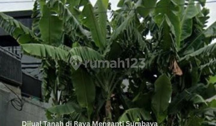 FOR SALE: GREAT LAND IN MENGANTI, ROW OF MITSUBISHI, SRIKANDI, WIYUNG, WEST SURABAYA FOR SALE: GREAT LAND IN MENGANTI, ROW OF MITSUBISHI, SRIKANDI, WIYUNG, WEST SURABAYA