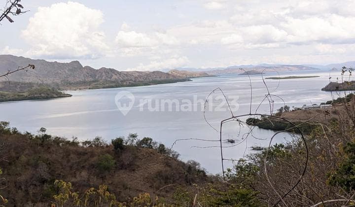 Tanah Strategis di Warloka Komodo NTT View Laut