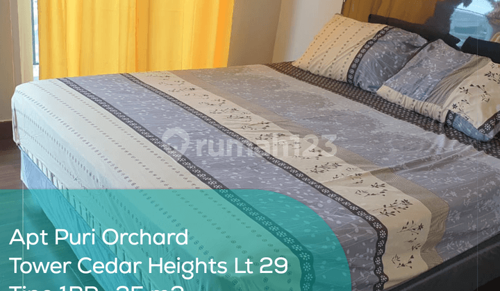 Apartement Puri Orchard Tower Cedar Heights Wing A Lt 29, 1BR, Full Furnished