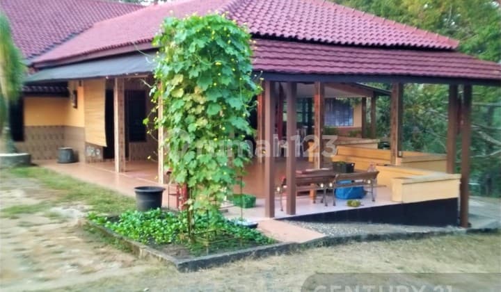 Villa Furnished Berikut Kebon Produktif Cinangka
