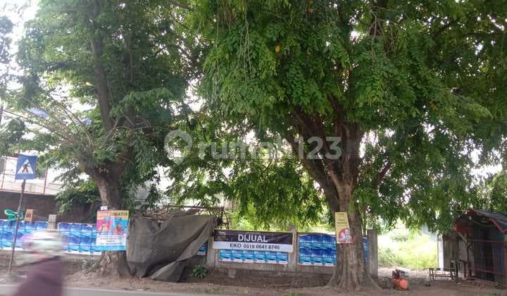 Tanah Jalan Raya Cilegon Serang Legok Samping Bulog