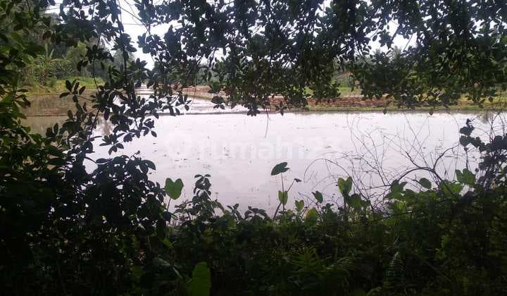 Tanah Harga Miring Baros Serang