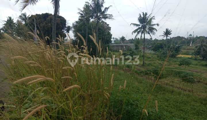 Tanah Oke Jalan Raya Lingkar Selatan Km 4
