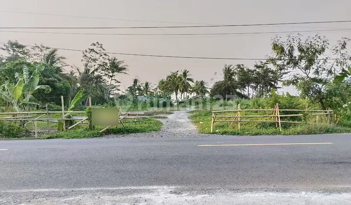 Land on Panimbang Main Road Near the Beachfront