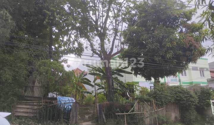 Tanah Kavling Jl Anggrek Bendungan Nego Sampai Jadi